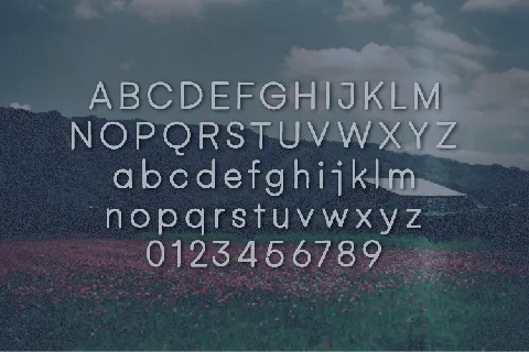 Affordable font