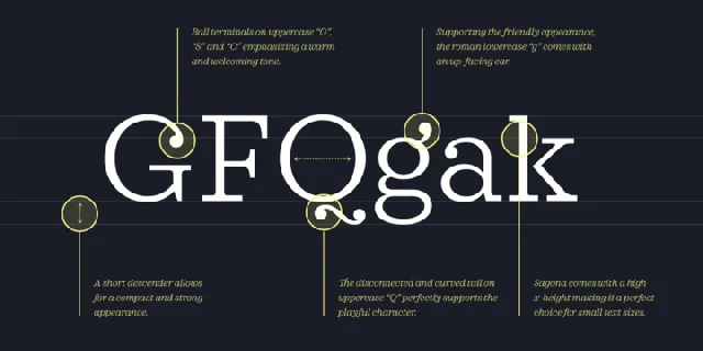 Sagona Family font