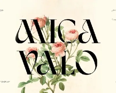 Mica Valo font