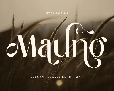 Maung font