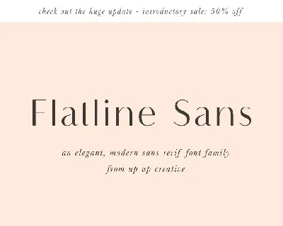 Flatline Sans font