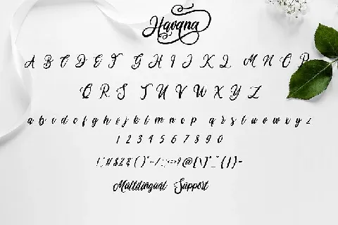 Havana Calligraphy font