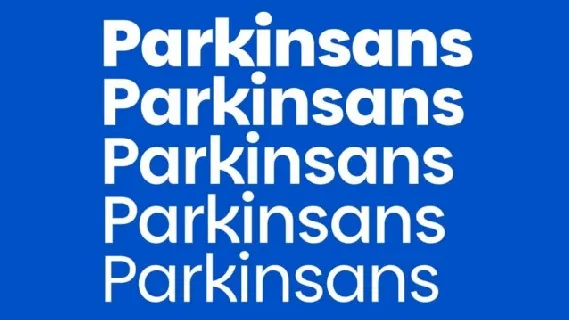 Parkin Sans font