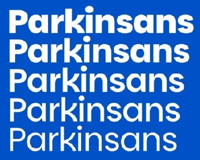 Parkin Sans font