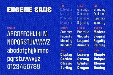 Eugene Sans Family font