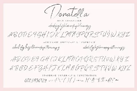 Donatella Handwritten font