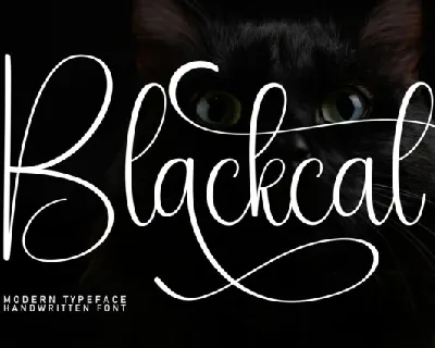 Blackcat Script font