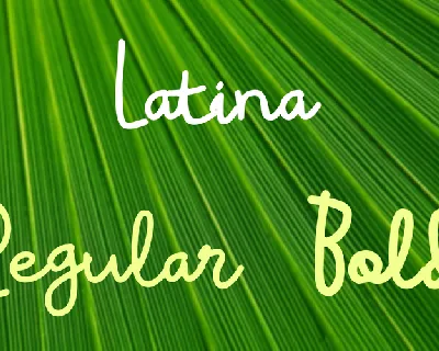 Latina font
