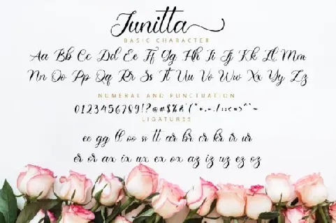 Junitta Calligraphy font