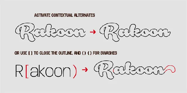 Rough Rakoon font