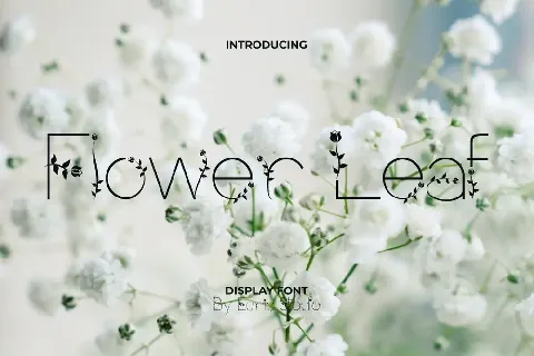 Flower Leaf Demo font