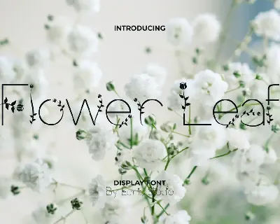 Flower Leaf Demo font