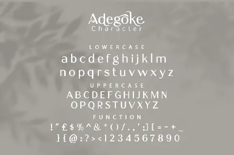 Adegoke font