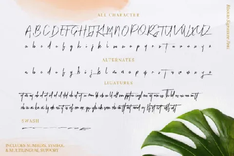 Risotto Signature Script font