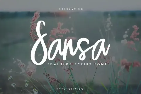 Sansa font