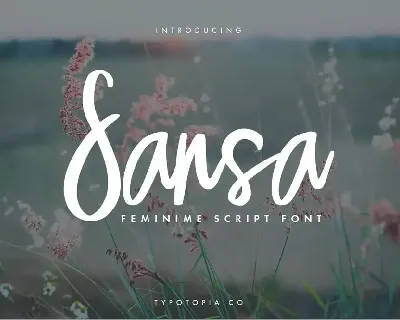 Sansa font