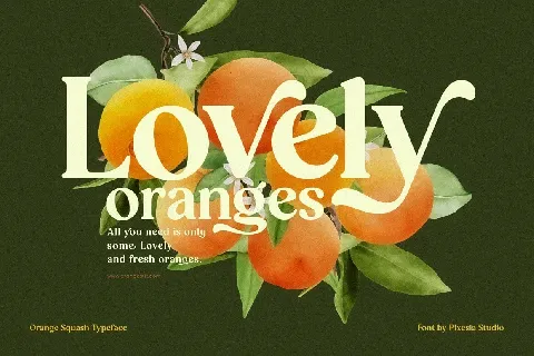 Orange Squash font