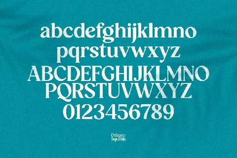 Orange Squash font