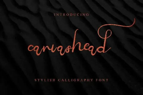 Canvashead Demo font