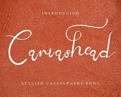 Canvashead Demo font