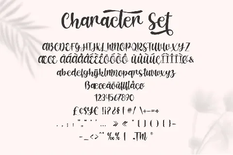 Shecarea font