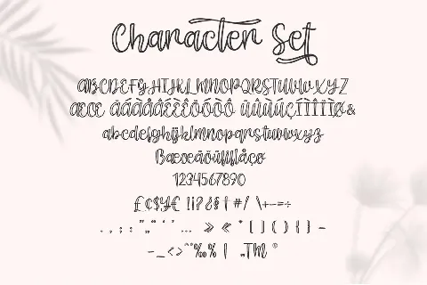 Shecarea font