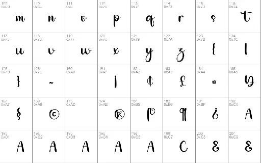 Stable Script Typeface font