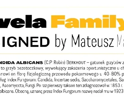 Favela Family font