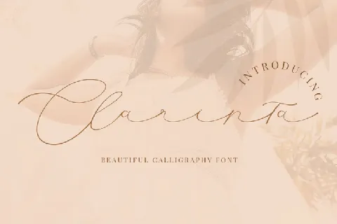 Clarinta font