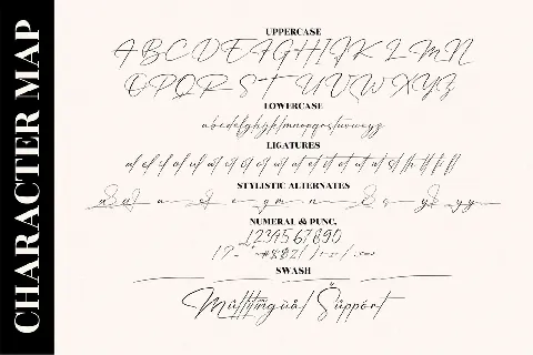 Patricia Signature font