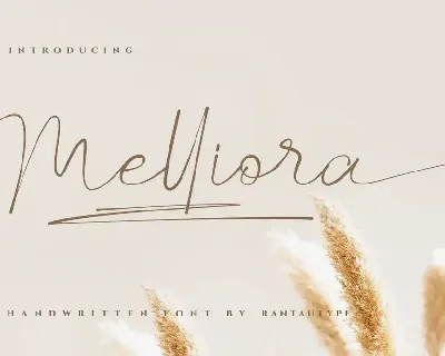 Melliora font