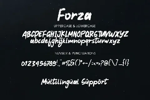 Forza Brush font