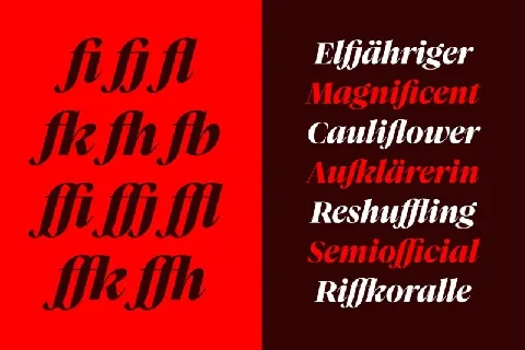 Vitruv Family font