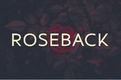 Roseback font