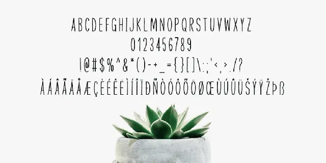 Beaming With Love font