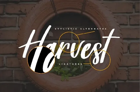 Harvest Barn Script font