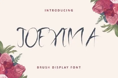 Joexima Brush font