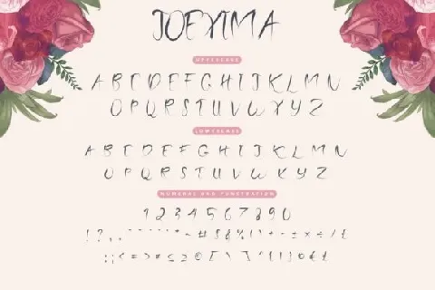 Joexima Brush font