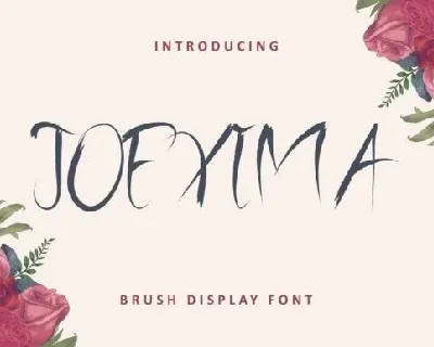 Joexima Brush font