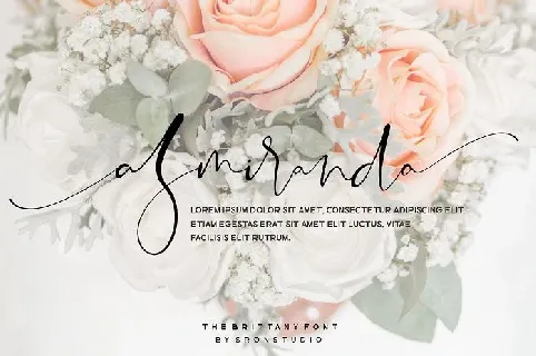 The Brittany Trio font