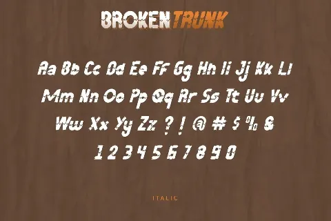 Broken Trunk Demo font