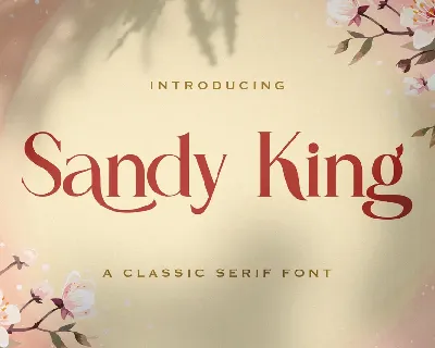 Sandy King font