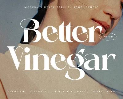 Better Vinegar Demo font