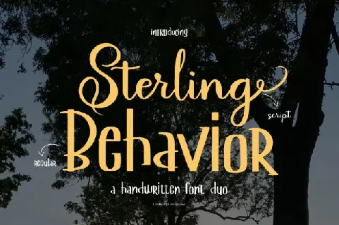 Sterling Behavior Duo font