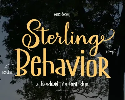 Sterling Behavior Duo font