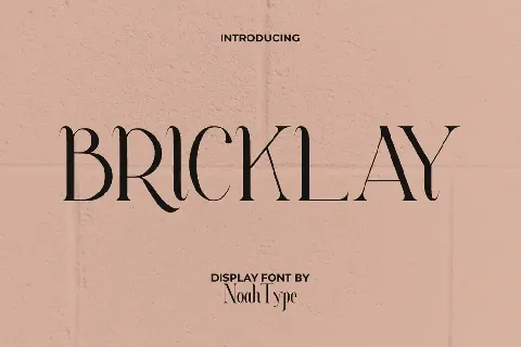 Bricklay Demo font