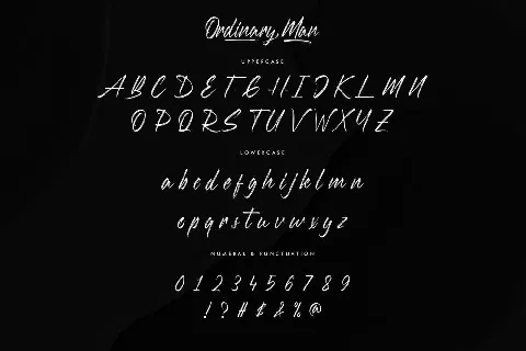 Ordinary Man font