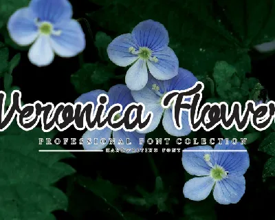Veronica Flower Script font