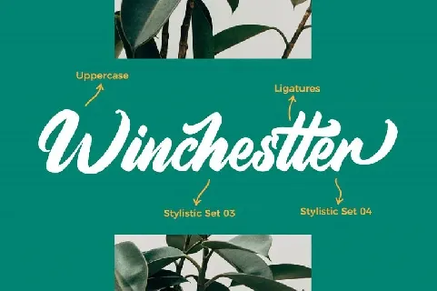 Aimchestar font