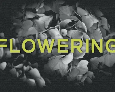 Flowering font